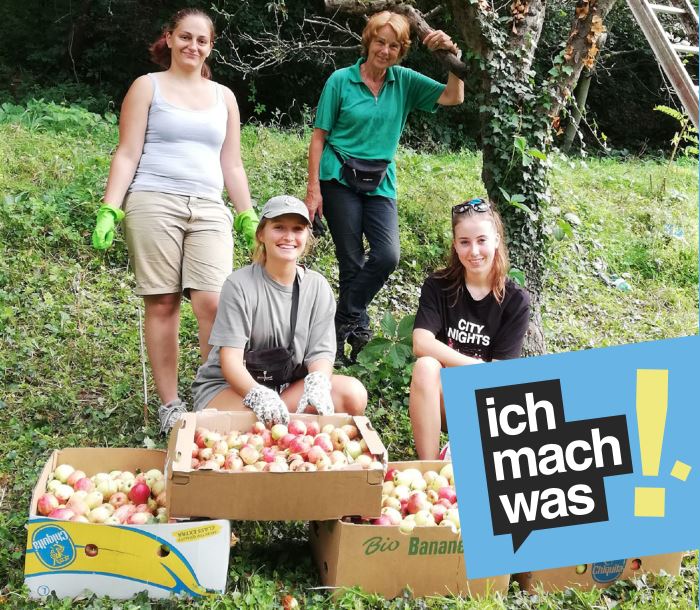 Jahresbericht 2020